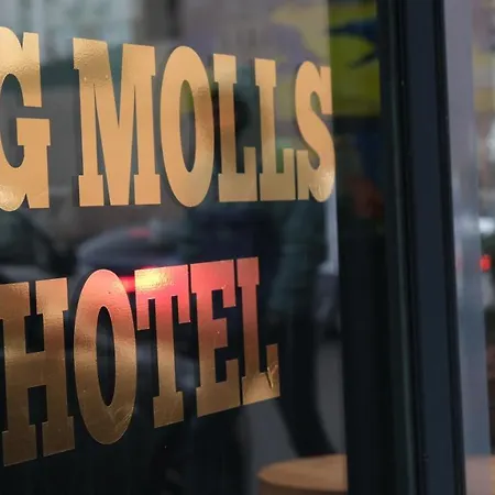 מלון Big Molls